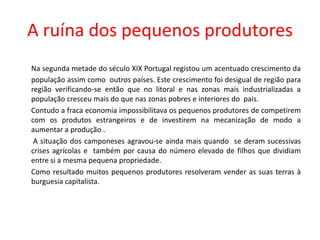 A ruína dos pequenos produtoresNa segunda metade do século XIX Portugal registou um acentuado crescimento da população assim como  outros países. Este crescimento foi desigual de região para região verificando-se então que no litoral e nas zonas mais industrializadas a população cresceu mais do que nas zonas pobres e interiores do  pais.	Contudo a fraca economia impossibilitava os pequenos produtores de competirem com os produtos estrangeiros e de investirem na mecanização de modo a aumentar a produção .	 A situação dos camponeses agravou-se ainda mais quando  se deram sucessivas crises agrícolas e  também por causa do número elevado de filhos que dividiam entre si a mesma pequena propriedade.	Como resultado muitos pequenos produtores resolveram vender as suas terras à burguesia capitalista.
