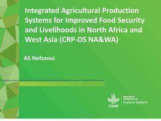 The global research partnership to improve agricultural productivity and income in the world's dry areas
Ali Nefzaoui
Integrated Agricultural Production
Systems for Improved Food Security
and Livelihoods in North Africa and
West Asia (CRP-DS NA&WA)
1
 