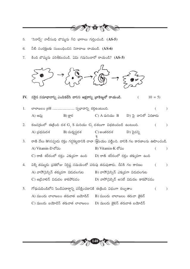 Tenth Class State Syllabus Model Paper Tm Ts Biology