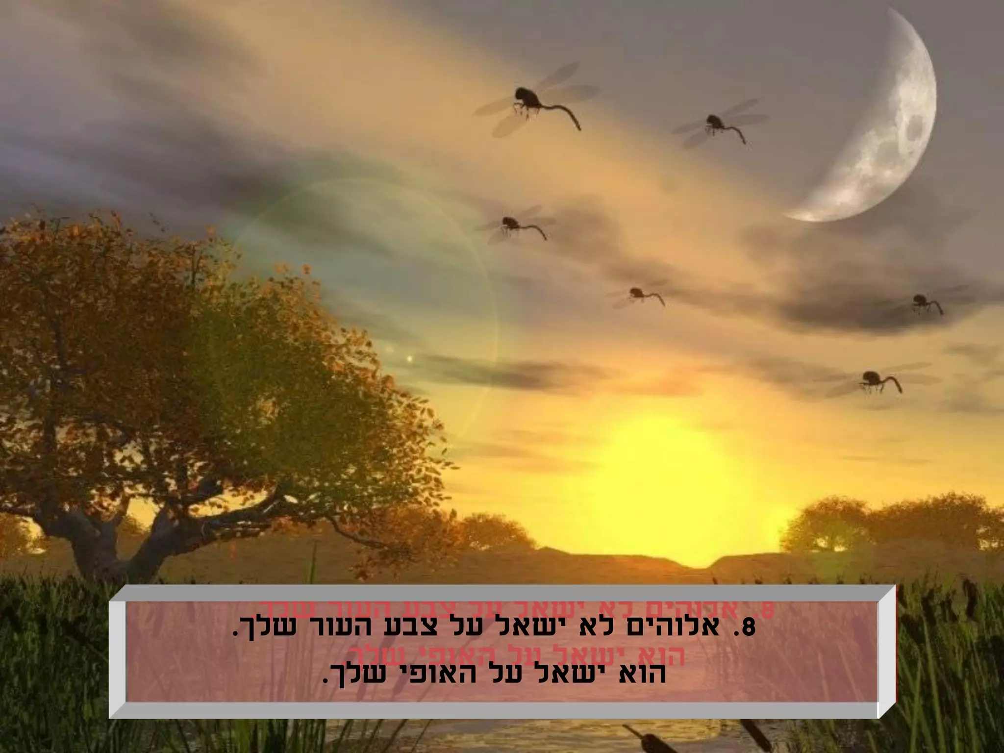 ‫8. אלוהים לא ישאל על צבע העור שלך.‬
      ‫הוא ישאל על האופי שלך.‬
 