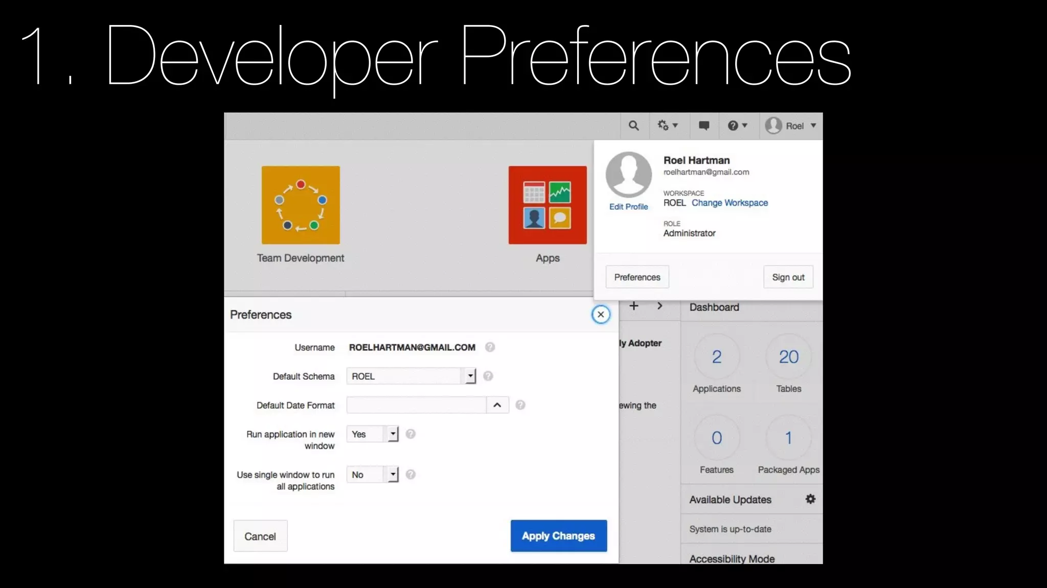 1. Developer Preferences