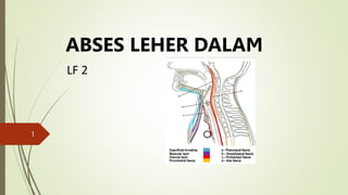 ABSES LEHER DALAM
1
LF 2
 
