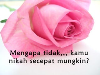 Mengapa tidak,,, kamu
nikah secepat mungkin?
 