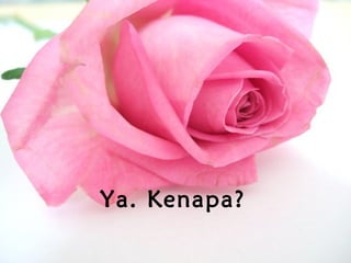 Ya. Kenapa?
 