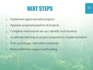 NEXT STEPS
1. Implement approved pilot projects
2. Appraise proposed pipeline of projects
3. Complete institutional set-up / identify host location
4. Accelerate learning on project preparation / implementation
5. Firm-up linkages with other initiatives
6. Raise additional support and funding
11
 