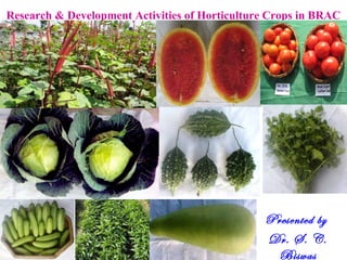 Research & Development Activities of Horticulture Crops in BRAC
Presented by
Dr. S. C.
Biswas
 