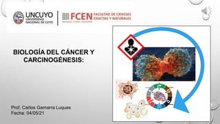 Prof. Carlos Gamarra Luques
Fecha: 04/05/21
BIOLOGÍA DEL CÁNCER Y
CARCINOGÉNESIS:
 