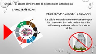 PARTE 1: El cáncer como modelo de aplicación de la toxicología.
CARACTERÍSTICAS:
RESISTENCIAA LA MUERTE CELULAR:
La célula tumoral adquiere mecanismos por
los cuales resultan más resistentes a los
estímulos que desencadenan la muerte
celular.
 