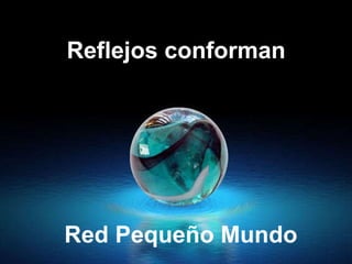 Red Pequeño Mundo Reflejos conforman  