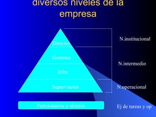 Los administradores en los diversos niveles de la empresa Director Gerentes Jefes Supervisores N.institucional N.intermedio N.operacional Funcionarios y obreros Ej de tareas y op 