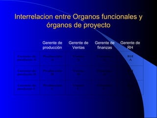 Interrelacion entre Organos funcionales y órganos de proyecto Gerente de producción Gerente de Ventas Gerente de finanzas Gerente de RH 