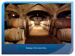 Bodegas Viña Santa Rita.

 