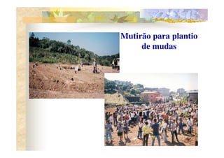 Mutirão para plantio
     de mudas
 