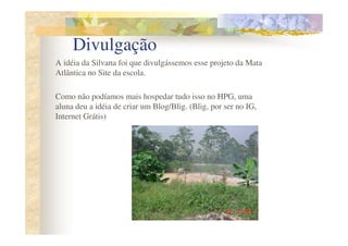Divulgação
A idéia da Silvana foi que divulgássemos esse projeto da Mata
Atlântica no Site da escola.

Como não podíamos mais hospedar tudo isso no HPG, uma
aluna deu a idéia de criar um Blog/Blig. (Blig, por ser no IG,
Internet Grátis)
 