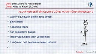 Ders: Din Kültürü ve Ahlak Bilgisi
Ünite: Kaza ve Kader (1.Ünite)
 Gece ve gündüzün birbirini takip etmesi
 Sinir sistemi
 Kan pompalama basıncı
 Kalbimizin yapısı
 İnsan vücudundaki kanın yenilenmesi
 Kulağımızın belli frekanstaki sesleri işitmesi
 ………………
ALLAH HER ŞEYİ BİR ÖLÇÜYE GÖRE YARATTIĞINA ÖRNEKLER-3
7.Sayfa | Toplam 17 S
 