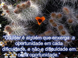 “O Líder é alguém que enxerga  a oportunidade em cada dificuldade, e não a dificuldade em cada oportunidade.”