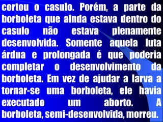 Seguir o modelo de Cristo, Mt 20.28LÍDER-SERVO (MODELO DE CRISTO)Ser servo é mais importante do que ser líder.