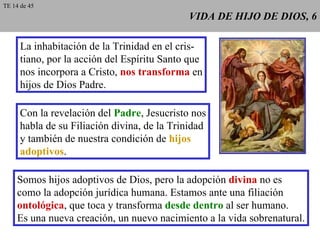 VIDA DE HIJO DE DIOS, 6 La inhabitación de la Trinidad en el cris- tiano, por la acción del Espíritu Santo que nos incorpora a Cristo,  nos transforma  en hijos de Dios Padre. Con la revelación del  Padre , Jesucristo nos habla de su Filiación divina, de la Trinidad y también de nuestra condición de  hijos adoptivos . Somos hijos adoptivos de Dios, pero la adopción  divina  no es como la adopción jurídica humana. Estamos ante una filiación ontológica , que toca y transforma  desde dentro  al ser humano. Es una nueva creación, un nuevo nacimiento a la vida sobrenatural. TE 14 de 45 