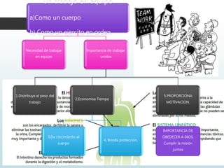 Un trabajo en equipo
a)Como un cuerpo
b) Como un ejercito en orden.
Necesidad de trabajar
en equipo
Importancia de trabajar
unidos
1.Distribuye el peso del
trabajo
2.Economisa Tiempo
3.Da crecimiento al
cuerpo
4. Brinda protección.
5.PROPORCIONA
MOTIVACION.
IMPORTANCIA DE
OBEDECER A DIOS.
Cumplir la misión
juntos
 