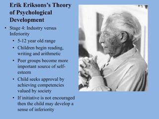 Erik Eriksons’s Theory
of Psychological
Development
• Stage 4: Industry versus
Inferiority
• 5-12 year old range
• Children begin reading,
writing and arithmetic
• Peer groups become more
important source of self-
esteem
• Child seeks approval by
achieving competencies
valued by society
• If initiative is not encouraged
then the child may develop a
sense of inferiority
 