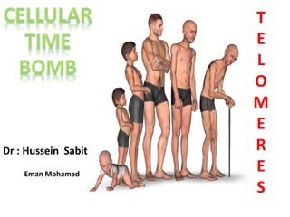 Dr : Hussein Sabit
Eman Mohamed
T
E
L
O
M
E
R
E
S
 