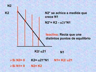 N1
N2
N2* se achica a medida que
crece N1
N2*= K2 - 21*N1
Isoclina: Recta que une
distintos puntos de equilibrio
Si N2= 0 K2= 21*N1 N1= K2/ 21
Si N1= 0 N2= K2
K2
K2/ 21
 