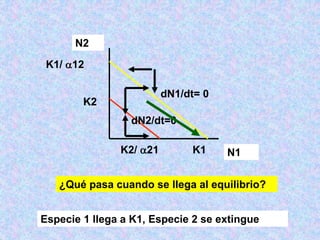 N2
N1
K2
K1
K2/ 21
K1/ 12
dN1/dt= 0
dN2/dt=0
¿Qué pasa cuando se llega al equilibrio?
Especie 1 llega a K1, Especie 2 se extingue
 