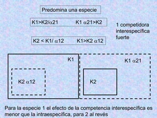 K1>K2/21 K1 21>K2
K2 < K1/ 12 K1>K2 12
K1
K2 12 K2
K1 21
Para la especie 1 el efecto de la competencia interespecífica es
menor que la intraespecífica, para 2 al revés
Predomina una especie
1 competidora
interespecífica
fuerte
 
