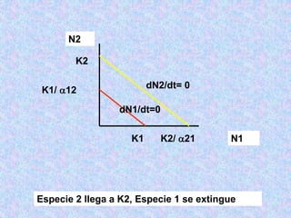 N2
N1
K2
K1 K2/ 21
K1/ 12
dN2/dt= 0
dN1/dt=0
Especie 2 llega a K2, Especie 1 se extingue
 
