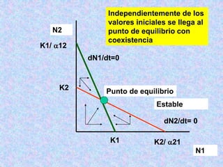 N2
N1
K2
K1 K2/ 21
K1/ 12
dN2/dt= 0
dN1/dt=0
Punto de equilibrio
Estable
Independientemente de los
valores iniciales se llega al
punto de equilibrio con
coexistencia
 