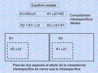 K1<K2/21 K1 21<K2
K2 < K1/ 12 K2 12< K1
K1
K2 12
K2
K1 21
Para las dos especies el efecto de la competencia
interespecífica es menor que la intraespecífica
Equilibrio estable
Competidores
interespecíficos
débiles
 