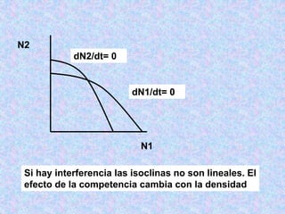 N2
N1
dN1/dt= 0
dN2/dt= 0
Si hay interferencia las isoclinas no son lineales. El
efecto de la competencia cambia con la densidad
 