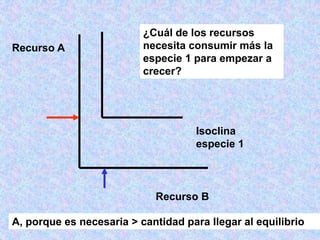 Recurso B
Recurso A
Isoclina
especie 1
¿Cuál de los recursos
necesita consumir más la
especie 1 para empezar a
crecer?
A, porque es necesaria > cantidad para llegar al equilibrio
 