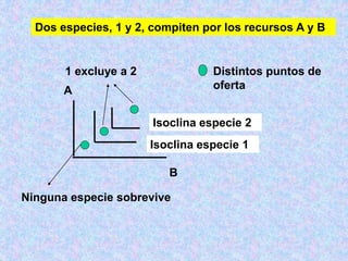 Isoclina especie 1
Isoclina especie 2
A
B
Dos especies, 1 y 2, compiten por los recursos A y B
Distintos puntos de
oferta
1 excluye a 2
Ninguna especie sobrevive
 