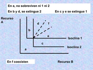 Isoclina 1
Isoclina 2
Recurso B
Recurso
A
a
b
c
d
e
f
En a, no sobreviven ni 1 ni 2
En b y d, se extingue 2 En c y e se extingue 1
En f coexisten
 