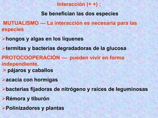 Interacción (+ +) :
Se benefician las dos especies
MUTUALISMO --- La interacción es necesaria para las
especies
hongos y algas en los líquenes
termitas y bacterias degradadoras de la glucosa
PROTOCOOPERACIÓN --- pueden vivir en forma
independiente.
> pájaros y caballos
acacia con hormigas
bacterias fijadoras de nitrógeno y raíces de leguminosas
Rémora y tiburón
Polinizadores y plantas
 