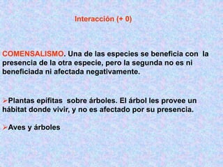 COMENSALISMO. Una de las especies se beneficia con la
presencia de la otra especie, pero la segunda no es ni
beneficiada ni afectada negativamente.
Interacción (+ 0)
Plantas epífitas sobre árboles. El árbol les provee un
hábitat donde vivir, y no es afectado por su presencia.
Aves y árboles
 