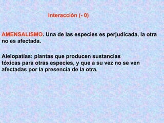 AMENSALISMO. Una de las especies es perjudicada, la otra
no es afectada.
Interacción (- 0)
Alelopatías: plantas que producen sustancias
tóxicas para otras especies, y que a su vez no se ven
afectadas por la presencia de la otra.
 