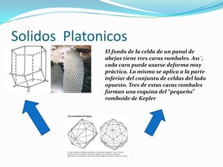 TeoríA De Grupos Mac 20mayo B