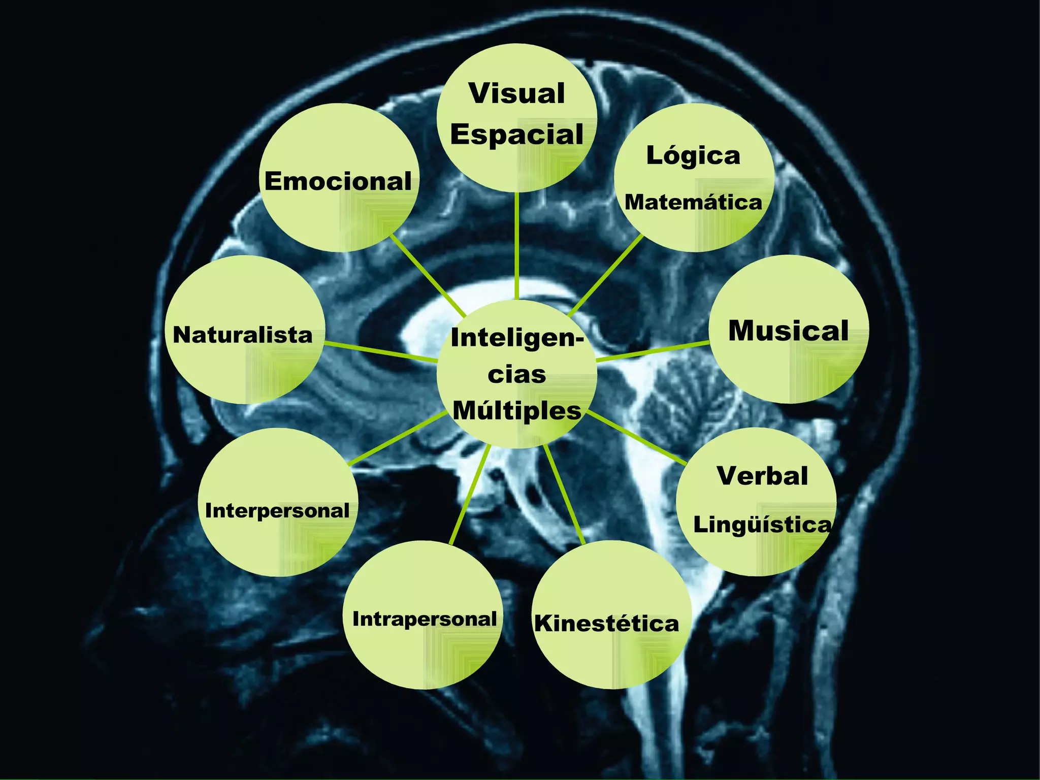 Slide 10