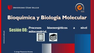 Sesión 08:
Procesos bioenergéticos a nivel
mitocondrial.
© Jorge Plasencia Alvarez
 