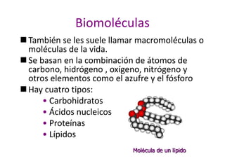 Biomoléculas
 También se les suele llamar macromoléculas o
moléculas de la vida.
 Se basan en la combinación de átomos de
carbono, hidrógeno , oxígeno, nitrógeno y
otros elementos como el azufre y el fósforo
 Hay cuatro tipos:
• Carbohidratos
• Ácidos nucleicos
• Proteínas
• Lípidos
Molécula de un lípido
 