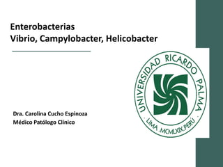 Enterobacterias
Vibrio, Campylobacter, Helicobacter
Dra. Carolina Cucho Espinoza
Médico Patólogo Clínico
 