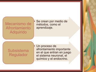 Mecanismo de
Afrontamiento
Adquirido

Subsistema
Regulador

• Se crean por medio de
métodos, como el
aprendizaje.

• Un proceso de
afrontamiento importante
en el que entran en juego
el sistema neuronal, el
químico y el endocrino.

 