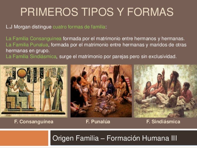 Teoría antropológica sobre el origen de la familia