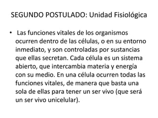 SEGUNDO POSTULADO: Unidad Fisiológica

• Las funciones vitales de los organismos
  ocurren dentro de las células, o en su entorno
  inmediato, y son controladas por sustancias
  que ellas secretan. Cada célula es un sistema
  abierto, que intercambia materia y energía
  con su medio. En una célula ocurren todas las
  funciones vitales, de manera que basta una
  sola de ellas para tener un ser vivo (que será
  un ser vivo unicelular).
 