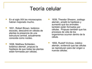 Teoría celular
   En el siglo XIX los microscopios        1839, Theodor Shwann, zoólogo
    habían mejorado mucho.                   alemán, amplió la hipótesis y
                                             aumentó que los animales
   1831, Robert Brown, botánico             también están formados por
                                             células. Propuso también que los
    escocés, descubrió en células de
                                             procesos de vida de los
    plantas la presencia de una
                                             organismos ocurren dentro de la
    estructura central, actualmente
                                             célula.
    conocida como núcleo.
                                            1855, Rudolf Virchow, médico
   1838, Matthew Schleiden,
    botánico alemán, propuso la              alemán, evidenció que las células
    hipótesis de que todas las plantas       se reproducen para dar origen a
    están formadas por células.              nuevas células.
 