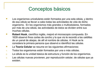 Conceptos básicos
    Los organismos unicelulares están formados por una sola célula, y dentro
     de esa célula se llevan a cabo todas las actividades de vida de dicho
     organismo. En los organismos más grandes o multicelulares, formados
     por más de una célula, las actividades de éstos se dividen entre sus
     muchas células.
    Robert Hook, científico inglés, mejoró el microscopio compuesto. En
     1639 observó finos cortes de corcho y lo que vio le recordó a las celdillas
     de un panal de abejas, de allí el nombre de células. A Hook se le
     considera la primera persona que observó e identificó las células.
    La Teoría Celular se resume en las siguientes afirmaciones:
1.   Todos los organismos están formados por una o más células.
2.   La célula es la unidad básica de estructura y función de los organismos.
3.   Las células nuevas provienen, por reproducción celular, de células que ya
     existen.
 