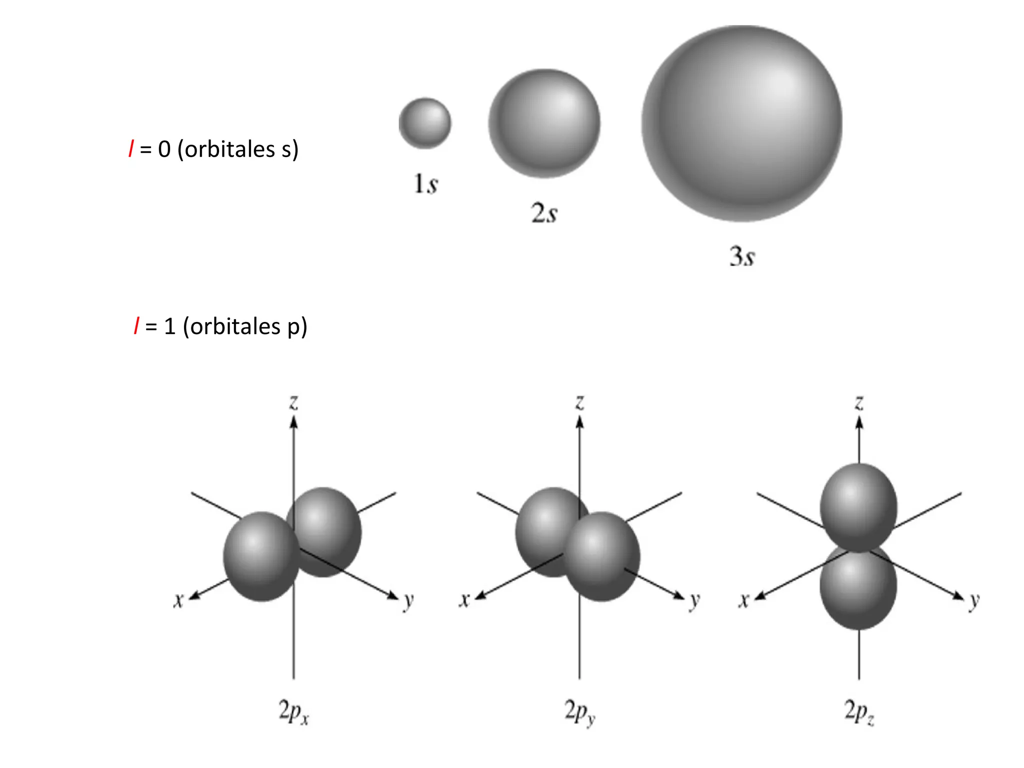 l  = 0 (orbitales s) l  = 1 (orbitales p) 
