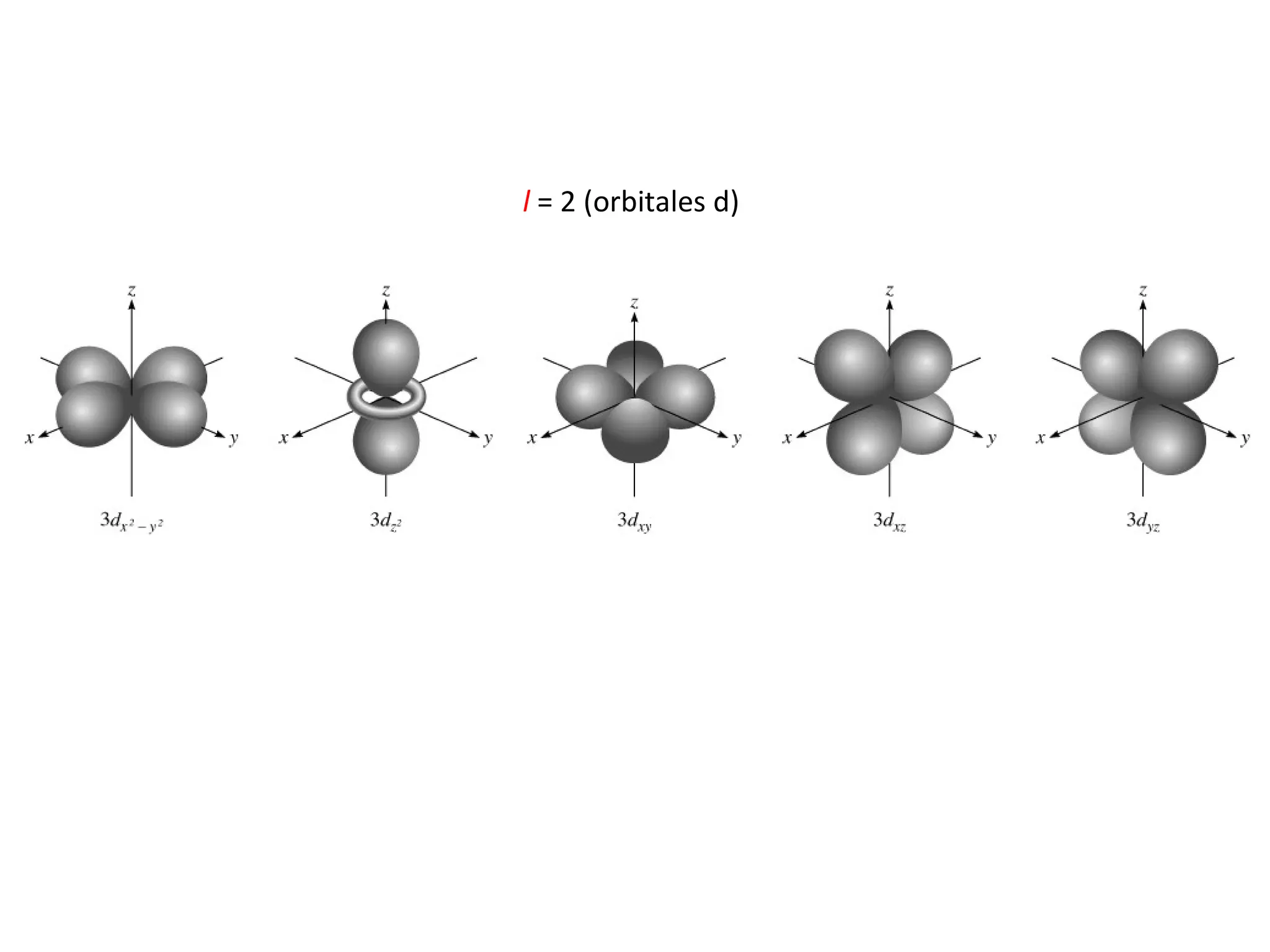 l  = 2 (orbitales d) 